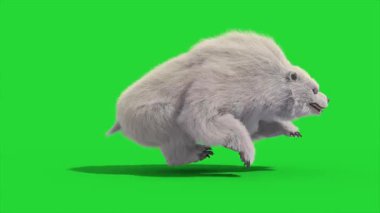 Canavarımsı Kutup Ayısı Yeşil Ekran Yan Döngüsü 3D Canlandırma CGI Hayvanlar 4K
