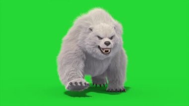 Canavarımsı Kutup Ayısı Yeşil Ekran Yürüme Önü Döngüsü 3D Canlandırma CGI Hayvanlar 4K