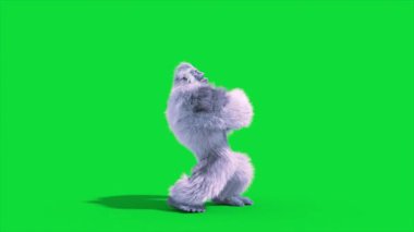 Yeşil Ekran Yeti, Goril, Kar Canavarı Saldırısı Kükre Tarafı 3D Canlandırma CGI 4K Kürk