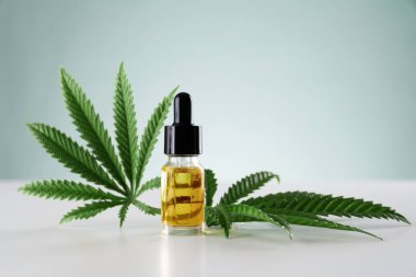 Kenevir sativa kenevir yaprağı ve beyaz arka planda damla kapağı olan CBD yağı. Yasallaştırılmış marihuana kavramı.