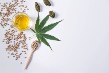 Cam kasede CBD yağı, tahta kaşıkta kenevir tohumu yığını ve esrar konsepti için boş arkaplanda yeşil kenevir yaprağı ve susuz tomurcuk düz ışın görüntüsü.