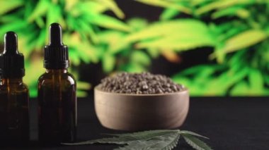 Kenevir bitkisinden yasal marihuana ürünleri, kenevir yaprağı. Çeşitli boyutlarda bir CBD yağ şişesi, kenevir yaprağıyla kenevir tohumu dolu ahşap bir kase ve kopyalama alanı için kenevir bitkisi arka planı. Çekim