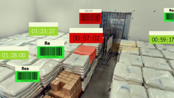 Augmented Reality Technology System Deft Smart Gudpot Identify Package Picking — Stok Video
