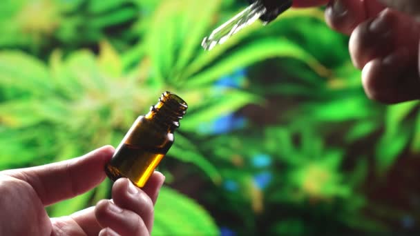 Primer Plano Sosteniendo Botella Cannabis Aceitoso Utilizando Gotas Medición Gotero — Vídeo de stock