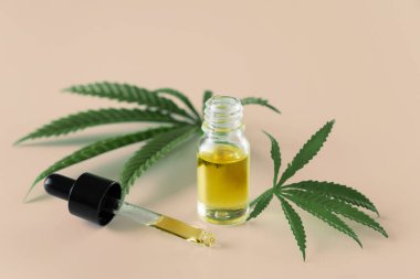Kenevir sativa kenevir yaprağı ve beyaz arka planda damla kapağı olan CBD yağı. Yasallaştırılmış marihuana kavramı.