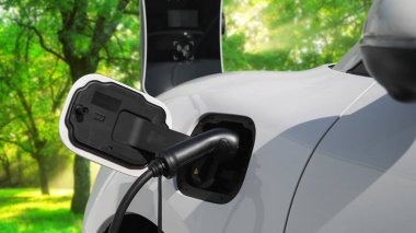 Yeşil Orman 'daki şarj istasyonundan gelen yenilenebilir ve temiz enerjiyle çalışan elektrikli araba çevresel bilincini artırmak için ilerleyen bir kampanya. Gelecekteki otomobiller için EV otomobil.