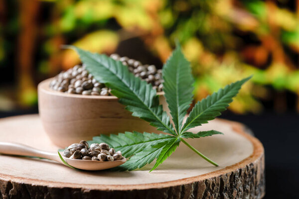 Семена конопли на круглой деревянной чаше с листьями конопли. Легализованная концепция марихуаны для медицинских и медицинских целей.
