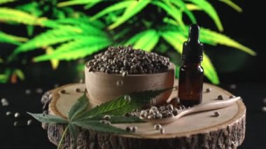 Kenevir tohumları kasedeki marihuana tohumu yığınına düşüp zıplıyor ve kenevir bitkisinin arka planında yakın plan çekimleri yapıyor. Tıbbi ürün için yasallaştırılmış kenevir tohumu ve kenevir CBD yağı