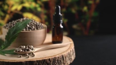 Ahşap kasede bulunan kenevir tohumu bahçedeki yetiştirilmiş kenevir bitkisinin bulanık arka planına sahip yasal yetiştirme tesisinde, kapalı alandaki kenevir tarlasında. Tıbbi amaçlar için kapalı alandaki çiftlikte kenevir tohumu..