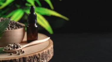 Ahşap kasede bulunan kenevir tohumu bahçedeki yetiştirilmiş kenevir bitkisinin bulanık arka planına sahip yasal yetiştirme tesisinde, kapalı alandaki kenevir tarlasında. Tıbbi amaçlar için kapalı alandaki çiftlikte kenevir tohumu..