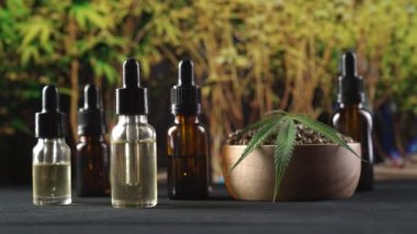 Kenevir bitkisinden yasal marihuana ürünleri, kenevir yaprağı. Çeşitli boyutlarda bir CBD yağ şişesi, kenevir yaprağı ile ahşap bir kase tohumları ve kopyalama alanı için kenevir bitkisi arka planı.