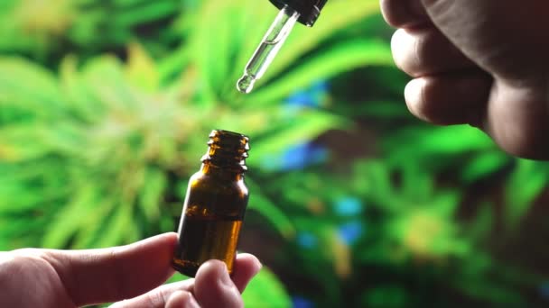 Großaufnahme Halten Sie Eine Flasche Mit Öligem Cannabis Der Hand — Stockvideo