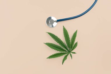 Steteskopun yanında yeşil sativa keneviri yaprağı yatıyordu. Tıbbi amaçlar için yasallaştırılmış marihuana kavramı. Esrar, sağlık ve tıpta hastalıkların tedavisinde kullanılıyor.
