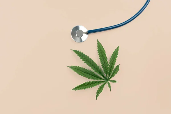 平面放置在听诊器旁边的绿色饱满大麻叶的顶部视图图像 用于医疗目的的合法大麻概念 大麻正被用于医疗保健和药物治疗疾病 — 图库照片