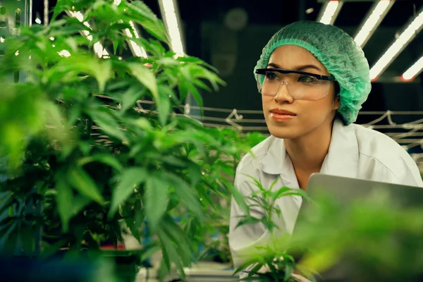 Cientista Feminina Usando Tampa Descarte Segurando Seu Laptop Inspecionando Plantas — Fotografia de Stock