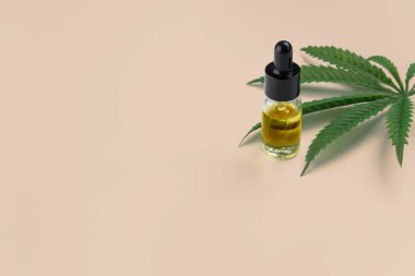 Kenevir sativa kenevir yaprağı ve beyaz arka planda damla kapağı olan CBD yağı. Yasallaştırılmış marihuana kavramı.