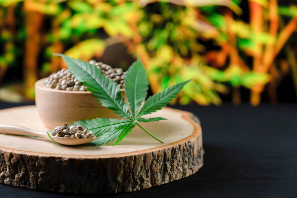 Семена конопли на круглой деревянной чаше с листьями конопли. Легализованная концепция марихуаны для медицинских и медицинских целей.