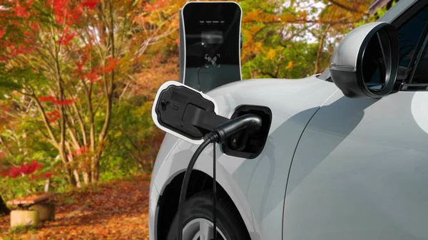 Progressiv Miljövänlighet Begreppet Elbil Bil Drivs Ren Och Hållbar Energi — Stockfoto