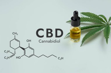 Beyaz bir zemin ve biyokimya formülü olan altıgen resimde izole edilmiş, damlatan kapaklı cam bir şişedeki CBD yağı, yasallaştırılmış marihuana özütleri kavramını temsil ediyor..
