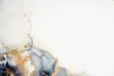 Soyut arkaplan için özgün tablodaki mermer mürekkep soyut sanat. Boyama, ombre alkol mürekkebinin pürüzsüz mermer arkaplan desenini yaratmak için yüksek kaliteli kağıt dokusuna boyanmış. .