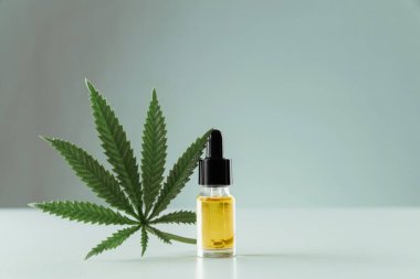 Kenevir sativa kenevir yaprağı ve beyaz arka planda damla kapağı olan CBD yağı. Yasallaştırılmış marihuana kavramı.