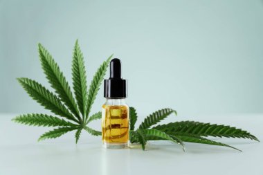 Kenevir sativa kenevir yaprağı ve beyaz arka planda damla kapağı olan CBD yağı. Yasallaştırılmış marihuana kavramı.