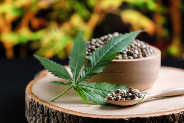 Семена конопли на круглой деревянной чаше с листьями конопли. Легализованная концепция марихуаны для медицинских и медицинских целей.