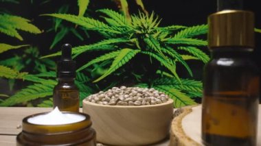 Doğal cilt bakım ürünü. Esrar laboratuarında üretiliyor. CBD yağı, kenevir tohumu ve kenevir bitkisi bahçeli masada nemlendirici krema kavanozu ürünü. Kopyalama alanı