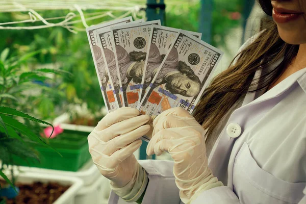 Closeup Γυναίκα Επιστήμονας Που Κατέχουν Δολάρια Χαρτονομίσματα Μετά Την Ικανοποίηση — Φωτογραφία Αρχείου