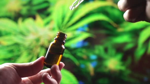 Närbild Hand Hålla Flaska Oljig Cannabis Och Använda Dropper Mäta — Stockvideo