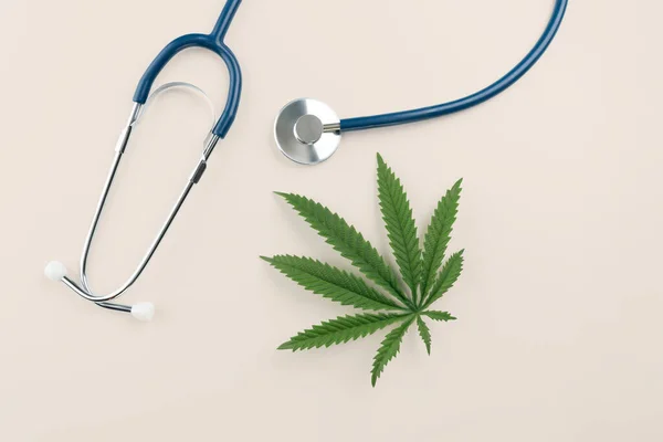 聴診器の横にある緑色のサティバ麻の葉のフラットレイ上のビュー画像 医療目的で合法的なマリファナの概念 大麻は病気を治療するために医療や医学で使用されています — ストック写真