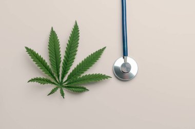 Steteskopun yanında yeşil sativa keneviri yaprağı yatıyordu. Tıbbi amaçlar için yasallaştırılmış marihuana kavramı. Esrar, sağlık ve tıpta hastalıkların tedavisinde kullanılıyor.