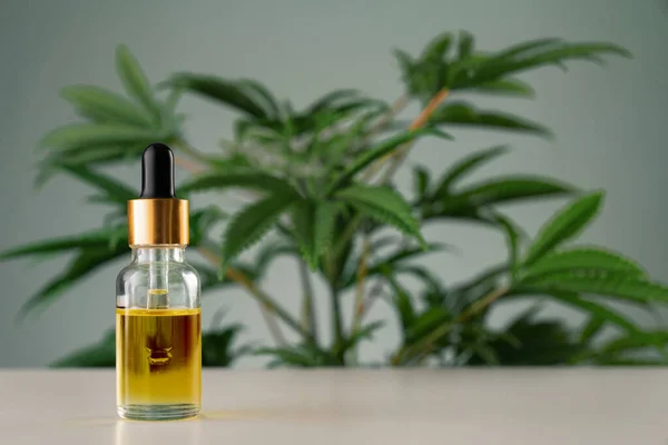 Cannabis Sativa Hennepblad Met Container Cbd Olie Met Druppeldeksel Witte — Stockfoto