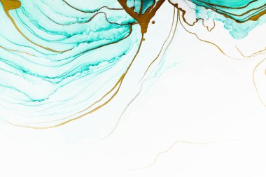 Marble ink abstract art from meticulous original painting abstract background . Painting was painted on high quality paper texture to create smooth marble background pattern of ombre alcohol ink .