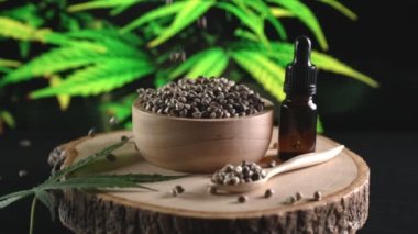 Kenevir tohumları kasedeki marihuana tohumu yığınına düşüp zıplıyor ve kenevir bitkisinin arka planında yakın plan çekimleri yapıyor. Tıbbi ürün için yasallaştırılmış kenevir tohumu ve kenevir CBD yağı