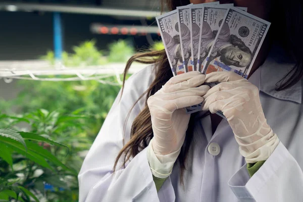 Närbild Kvinnlig Forskare Som Innehar Sedelpengar Dollar Efter Att Tillfredsställt — Stockfoto