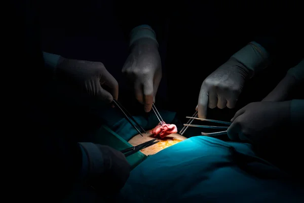 Tim Bedah Close Melakukan Operasi Untuk Pasien Ruang Operasi Steril — Stok Foto