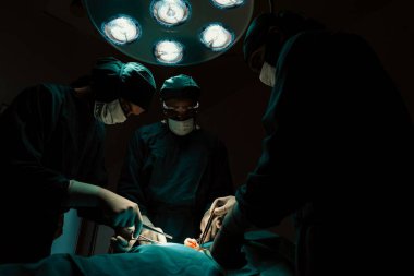 Steril ameliyathanedeki hastaya ameliyat yapan cerrahi ekip. Bir lambanın yaktığı ameliyathanede, profesyonel ve kendinden emin bir cerrahi ekip bilinçsiz bir hastaya tıbbi bakım sağlar..