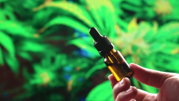 Primer Plano Sosteniendo Botella Cannabis Aceitoso Utilizando Gotas Medición Gotero — Vídeos de Stock