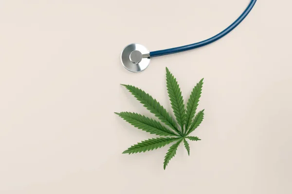 聴診器の横にある緑色のサティバ麻の葉のフラットレイ上のビュー画像 医療目的で合法的なマリファナの概念 大麻は病気を治療するために医療や医学で使用されています — ストック写真