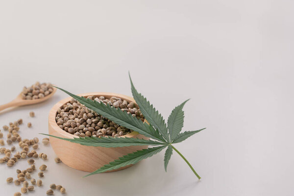 Семена конопли с зеленым листком конопли сативы сверху. Легализованная марихуана. Пустой фон для копирайта.