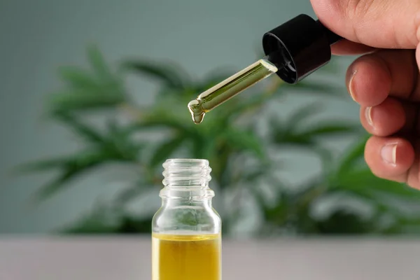 Cannabis Sativa Hemp Leaf Container Cbd Oil Dropper Lid White — Stock Photo, Image
