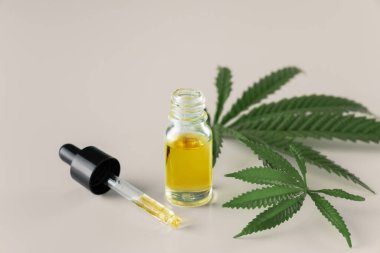 Kenevir sativa kenevir yaprağı ve beyaz arka planda damla kapağı olan CBD yağı. Yasallaştırılmış marihuana kavramı.