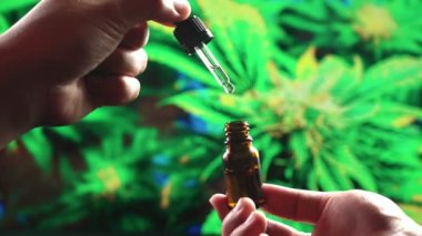 Yakından bir şişe yağlı kenevir tutarken ve damlacıkları kabın içine düşerken ölçerken kullanırken. Tıbbi kullanım için kenevir yaprağından CBD yağına kadar yasallaştırılmış esrar ürünleri.