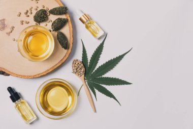 Bir şişe CBD yağı, THC tentürü, kenevir izinleri, ahşap kasedeki kenevir tohumu beyaz arka planda birlikte sıralanmış. Kenevir bitkisi cannabidiol damıtımı tıbbi kullanım için sıvıya dönüşür.