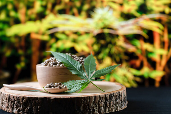 Семена конопли на круглой деревянной чаше с листьями конопли. Легализованная концепция марихуаны для медицинских и медицинских целей.