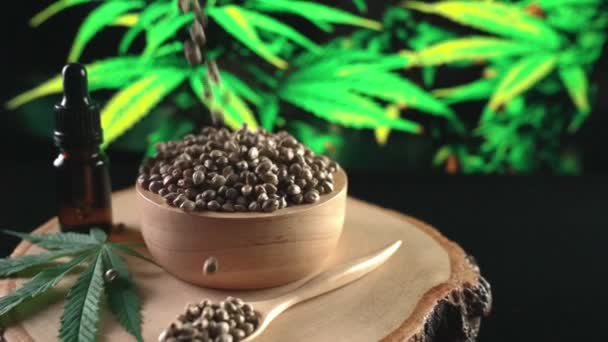 Cannabis Samen Fallen Hinein Und Prallen Auf Haufen Von Marihuana — Stockvideo