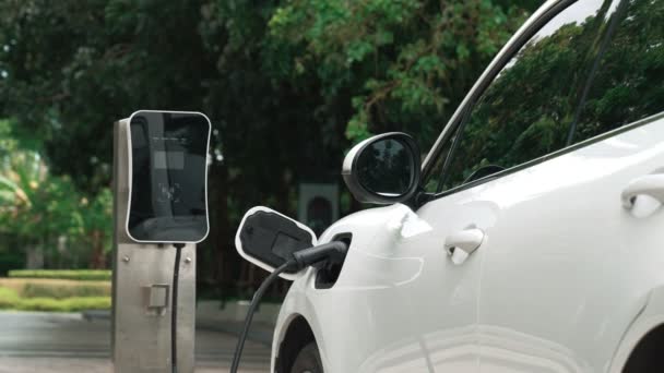 Elektrikli Araba Parkı Şarj Istasyonunun Yanında Şarj Edilen Enerji Konseptinin — Stok video