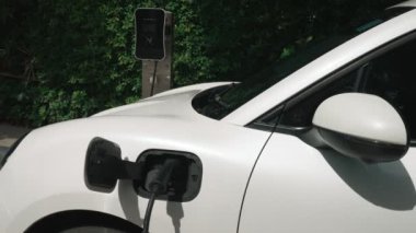 Elektrikli araba parkı ve şarj istasyonunun yanında şarj edilen enerji konseptinin sürdürülebilirliği. Çevresel koruma için yenilenebilir enerji tarafından kullanılan elektrikli araç.