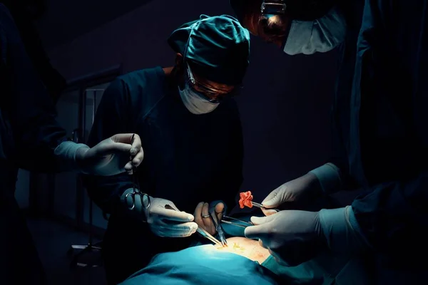 在无菌手术室为病人进行手术的外科小组 在一个由一盏灯照亮的手术室里 一个专业而自信的外科小组为一位不省人事的病人提供医疗服务 — 图库照片